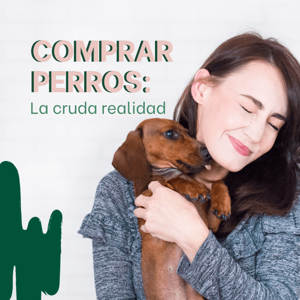 Comprar perros: la cruda realidad. Chica sosteniendo un perro en sus brazos